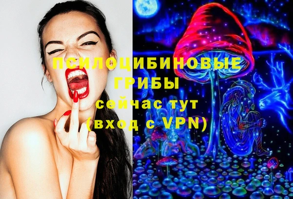 соль ск Магас