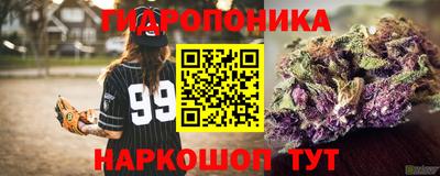 гашик Волжский
