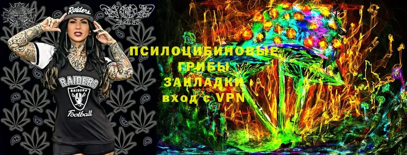 Галлюциногенные грибы Psilocybe  нарко площадка какой сайт  Шахты  omg как войти 