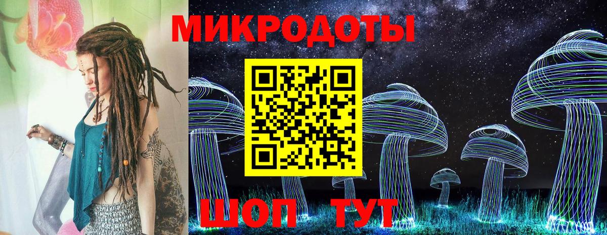 Псилоцибиновые грибы Psilocybe  Вход с VPN  Шахты  Галлюциногенные грибы Magic Shrooms 