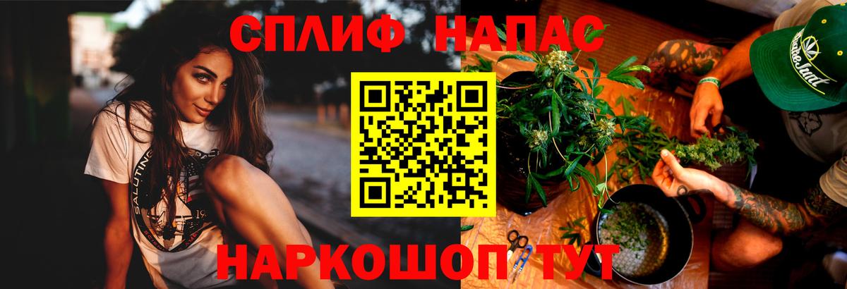 Конопля AK-47  Вход с VPN  Канабис сатива  МАРИХУАНА семена  Шахты  Бошки марихуана планчик 